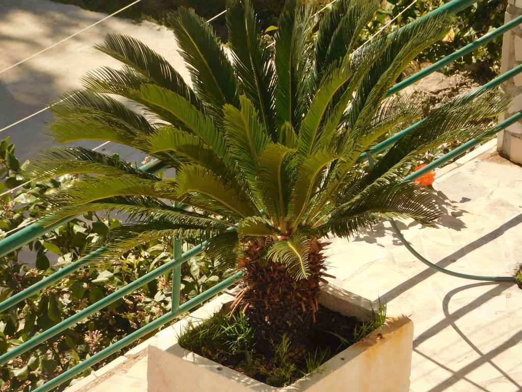Villa Ana Podgora Luaran gambar